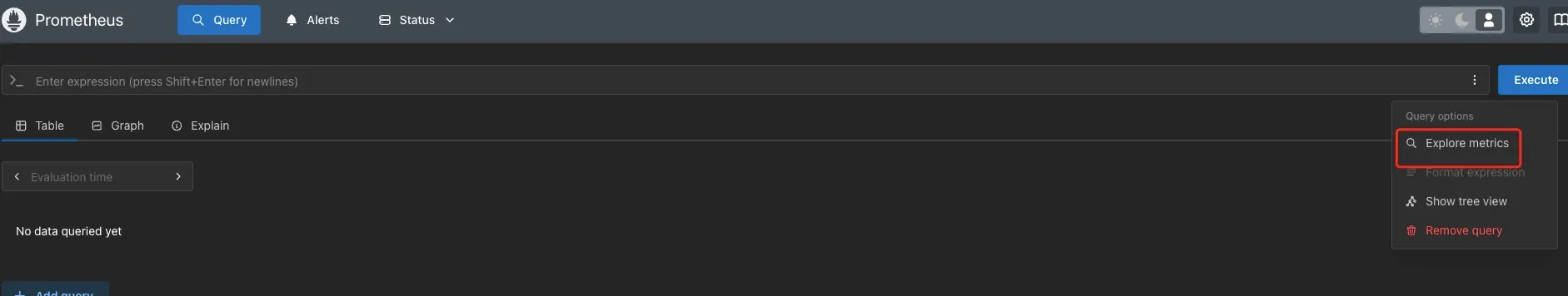 Query Options